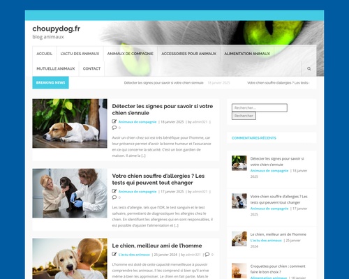 Choupydog : boutique d’accessoires pour chiens
