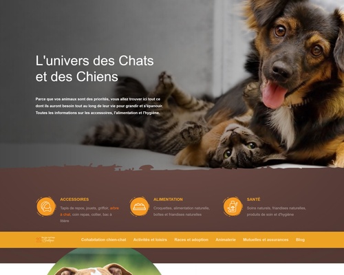 The Cats and Dogs Boutique