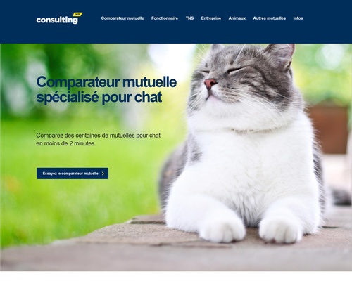 mutuelle chat