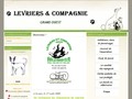 Levriers & Co