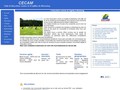 CECAM