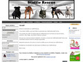 Staffie Rescue